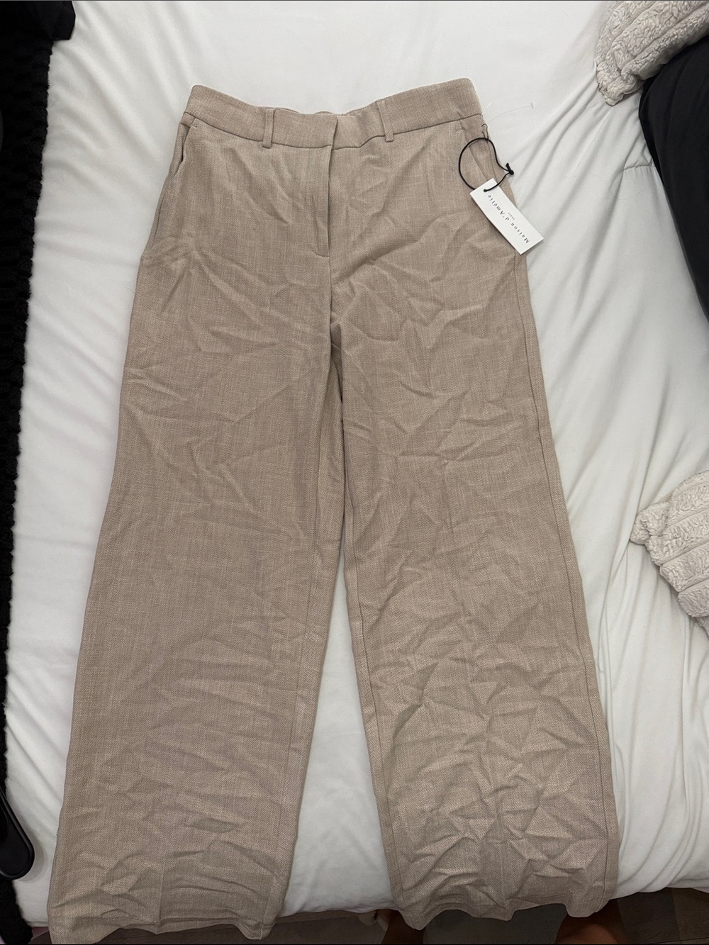 High-Rise Wide Leg Pants in Light Taupe